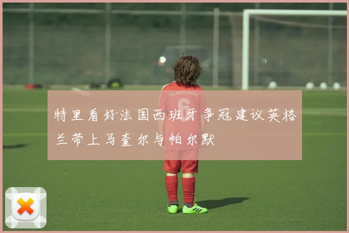 特里看好法国西班牙争冠建议英格兰带上马奎尔与帕尔默